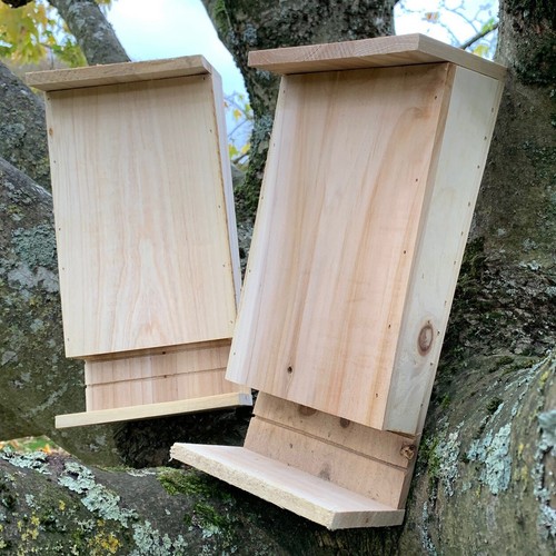 Set wooden bat - set, for
