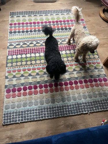 Margot selby for - for, rug