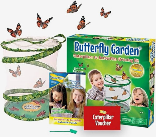 Insect lore butterfly garden - lore,