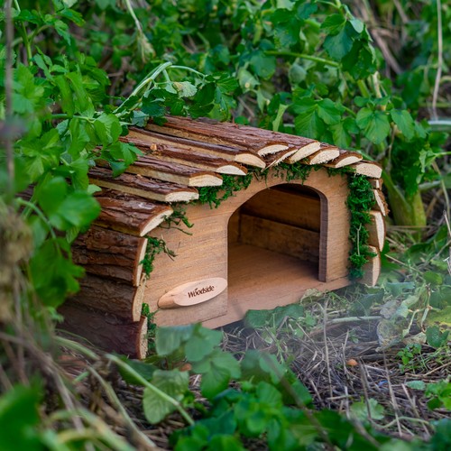 Woodside hedgehog house - house, &