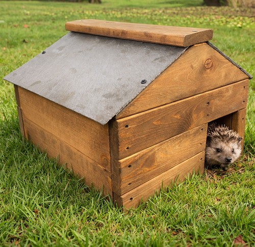Hedgehog hibernation shelter - hedgehog,