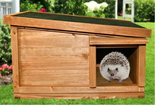 Hedgehog house hibernation - house, &