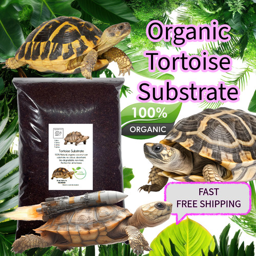 Tortoise habitat soil 100 - tortoise,