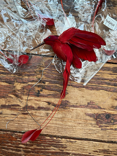Habitat red feather humming - habitat,