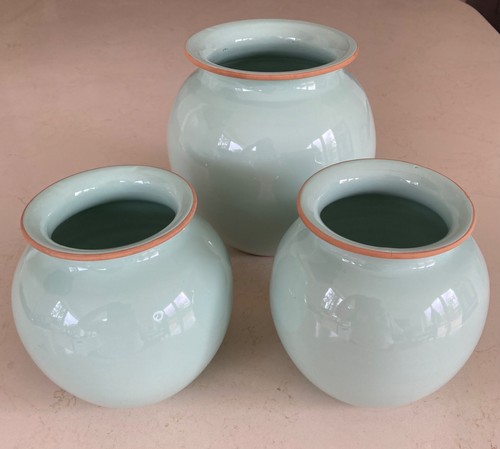 Set habitat plant - 3, pots