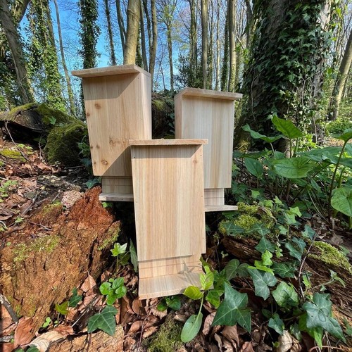 Wooden bat house for roosting - bat,