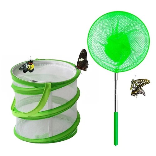 Butterfly habitat cage - butterfly,
