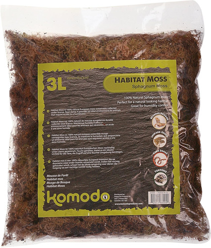 Komodo habitat moss - komodo,