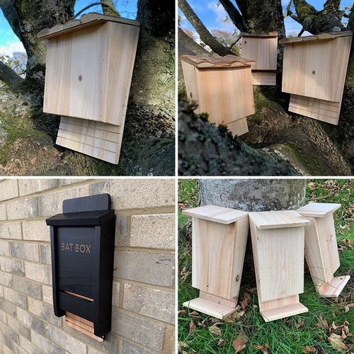 Bat box house - box, nest