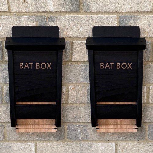 Black wooden bat - box, for