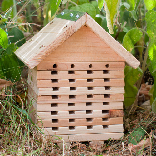 Kct bee hotel - bee, house