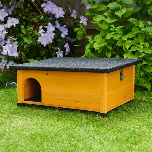 Hedgehog house and hibernation - hedgehog,